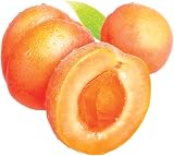 St Ives Fresh Skin Apricot Face Scrub 150ml 6 Pack view 3