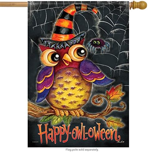 Happy Owl-oween Primitive House Flag Halloween Spider Web 28" x 40" Carson