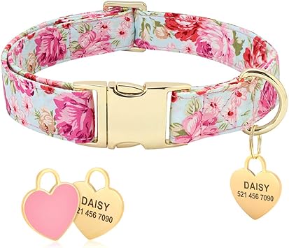 personalised dog collars amazon