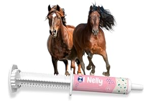 Ol Nelly Horse Probiotics (80cc), Horse Paste Pre and Probiotics +Vitamins &Minerals- 4 Strains and 8 Billion CFU per Serving- Immune and Gastro Health Support for Equines