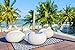 Green Decore Reversible Nirvana Outdoor Rug, Waterproof, Fade Resistant, Modern Large Floor Mats for Patios,Decks, Garden and Outdoors, Beach, Camping, Picnic - (Navy Blue/White, 8 X 10 ft)