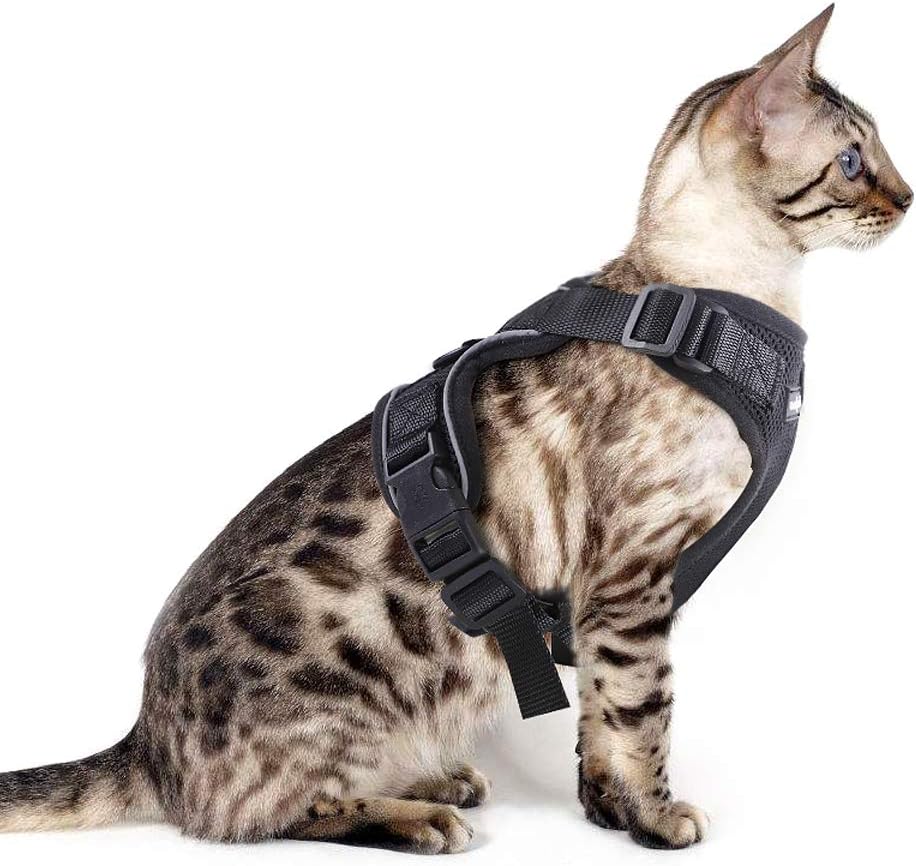 Harnais Chat Harnais Pour Chat Laisse Harnais Chat Harnais Laisse Pour Chat Harnais Pour Chat Avec Laisse Gilet Reflechissant Reglable Harnais Laisse Pour Chat Petit Aux Chiots Chat Balade Xs Harnais Veste Harnais