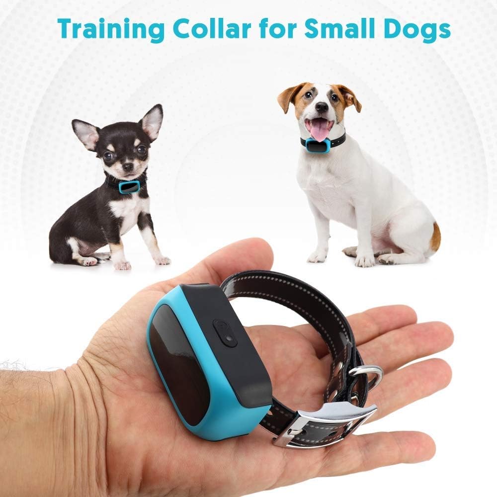 shock collar for 10 pound dog