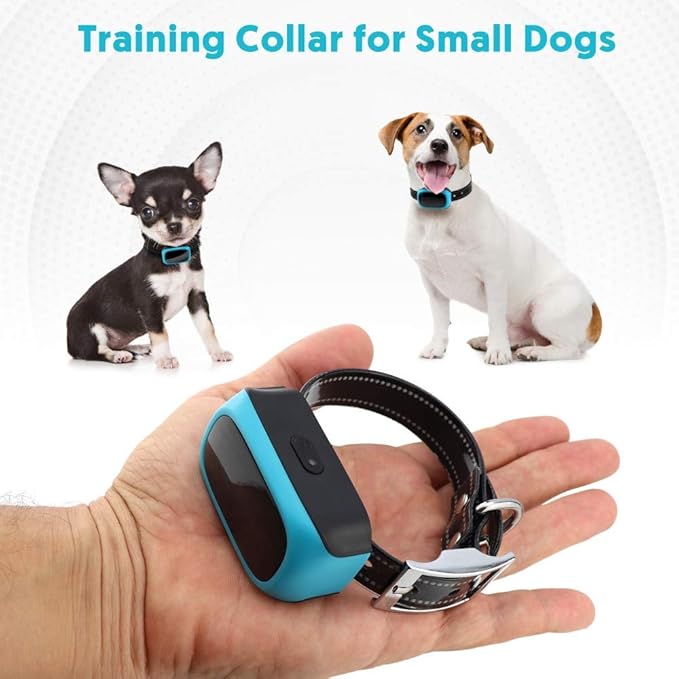 shock collar for 10lb dog