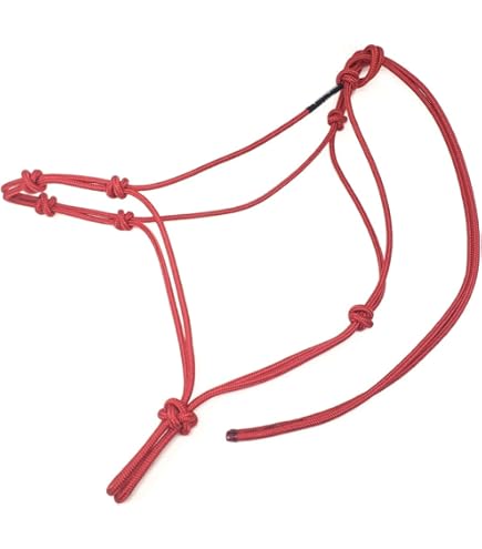 Lot De 4 Drapeaux D'entraînement équestre En Nylon Avec Mât (Rouge, Noir, Vert, Bleu