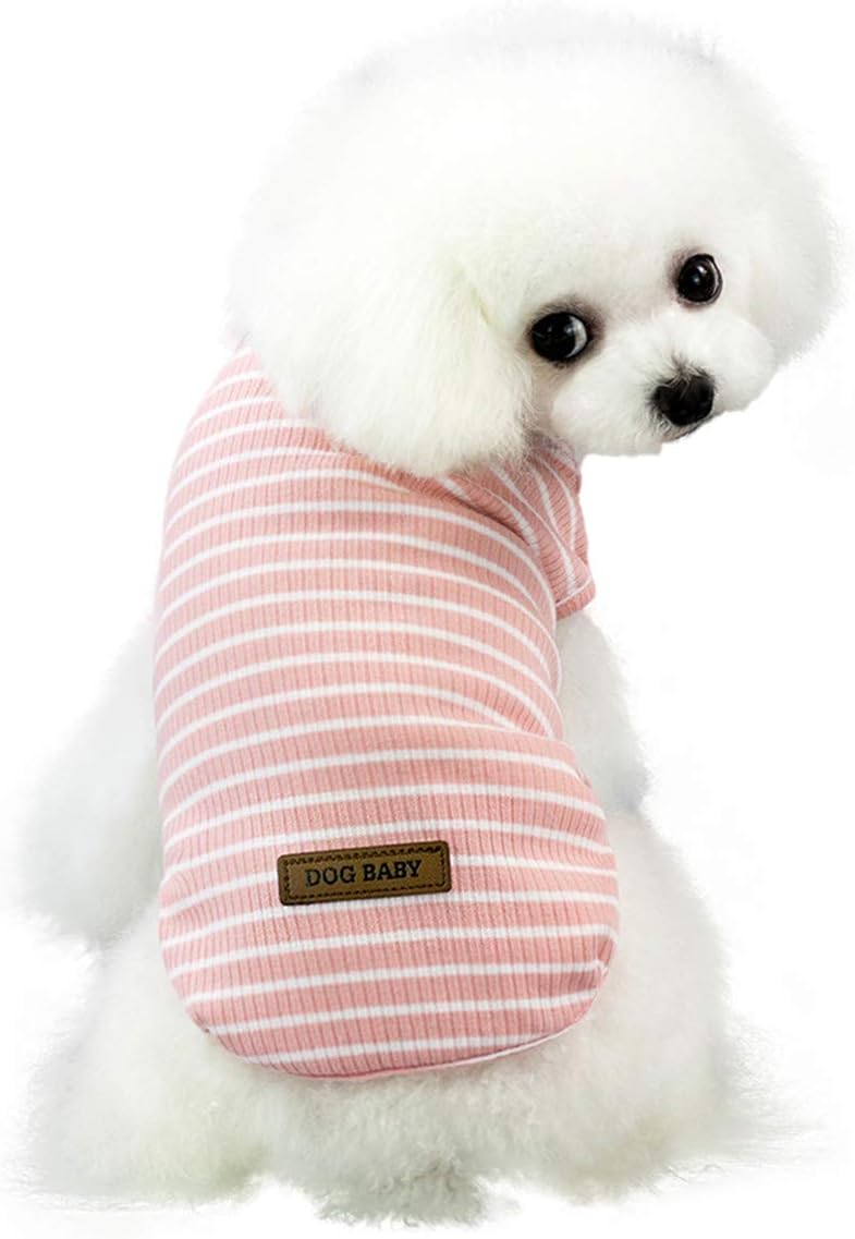 Niedlicher Gestreifter Haustier Pullover Katze Pulli Kleine Hunde