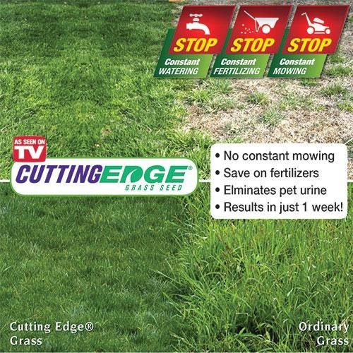 Cutting Edge Grass Seed