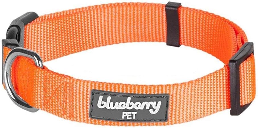 blueberry pet collars amazon
