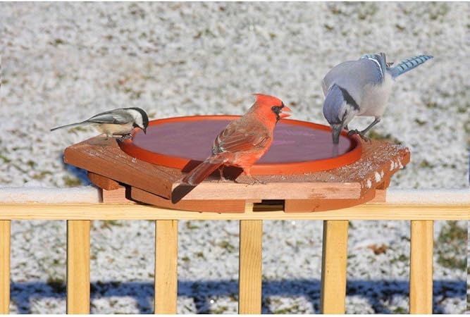 Amazon Com Songbird Essentials Se501 Cedar Heated Deck Bird Bath