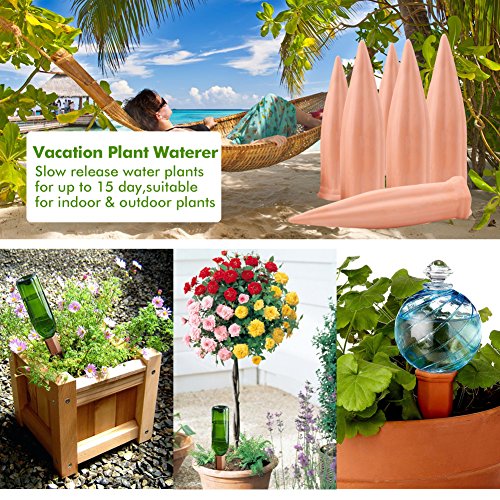 thumbnail interactive-video image 1 of Vacation Plant Care Self-Watering Plant Spikes 5-Pack - Terracotta Drip Irrigation For Terracotta Plant Waterer Bottle Adapter Vacation 1 of 1