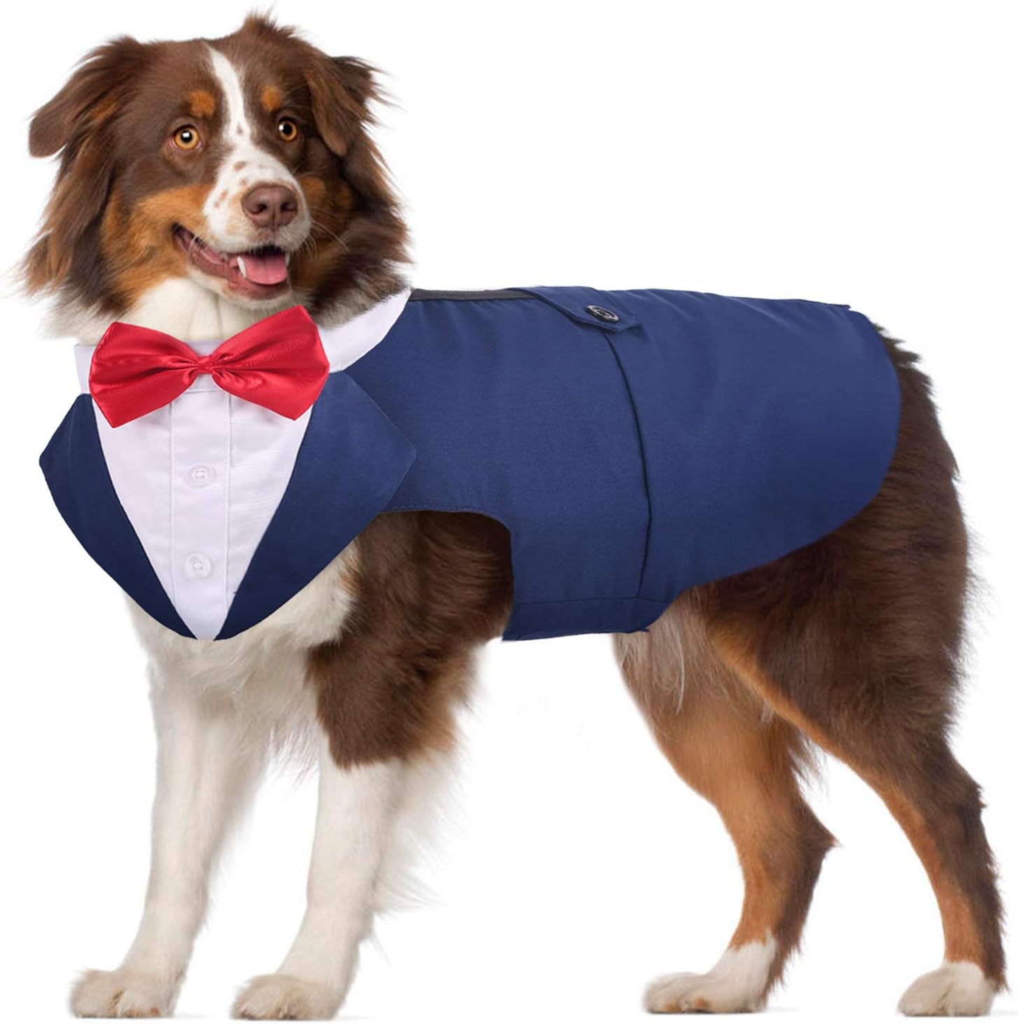 PUMYPOREITY Dog Tuxedo, Formal Dog Costume with Wedding Bandana, Blue, XXL, XX-Large