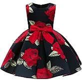 NSSMWTTC 3-10Y Toddler Formal Dresses Flower Girl Wedding Pageant Party Dress