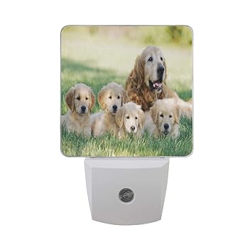 Amazon Com Night Light Cute Golden Retriever Puppies Family Led