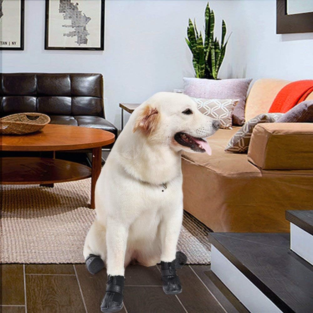 leather dog boots