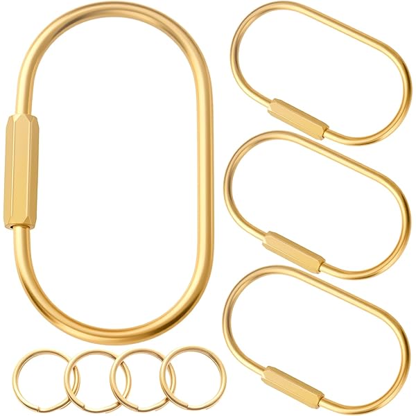 Inzopo Vintage Bronze Large Round Hoop Key Ring Organizer with