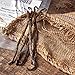 Gya Labs Grade A Tahitian Vanilla Beans (5 Beans Pack) for Home Baking & Chefs - Pure, Gourmet Grade 5 to 7 inches Vanilla Pods - Smoky, Sweet & Rich flavor for Desserts, Cooking & Extract Making