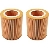 1613872000 Air Filter Replace for 89295976 6211472350 100001611 C1250 Compatible with UP6-15-125 UP6-20-125 UP6-25-125 UP6-30-125 UP6S-20 UP6S-25 UP6S-30 IRN20 IRN25 IRN30 EP20 EP30 (Pack of 2)