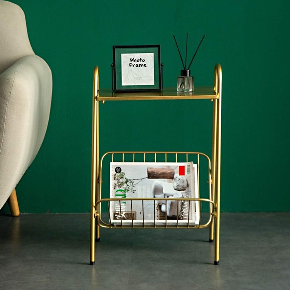 Tiita Gold Metal Side Table Two-Tier End-Table Magazine Storage Accent Table for Sofa, Bedroom,Living Room(Gold): Kitchen & Dining
