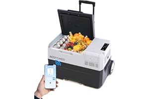 ACOPOWER&LiONCooler Pro PX30 Portable Refridgerator, 32Qt Car Freezer with APP Control and 6'' off-road wheels, 12V Cooler Freezer for Camping, Picnic, Hiking, RV, Boat
