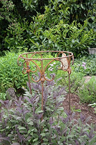 Staudenhalter 50cm Strauchhalter Staudenbinder rund Rankhilfe Stütze Pflanzen Metall Eisen Rost Deko – Bild 4
