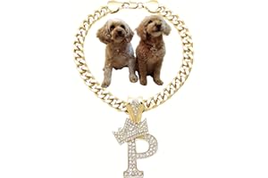 BA UNIQUE FASHION Initial Letter Cuban Chain Dog Chain Pet Chain Pet, Cat, Puppy Necklace (P, 12")