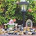 5 lbs Approx. 130 River Rocks Stones for Plants Pebbles for Indoor Plants | Aquarium Fish Tank Rocks | Polished Decorative Rocks for Vases (0.8-1.6 Inches)