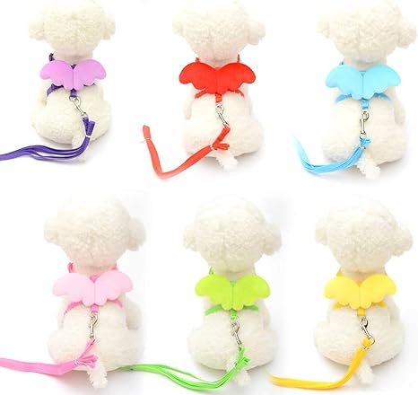 Machinyesell Ange Mignon Chien Laisse Et Colliers Mis Petits Chats Chiot Laisse Laisse Sangles Aileron Harnais Réglable Chien Accessoires Pour Animaux