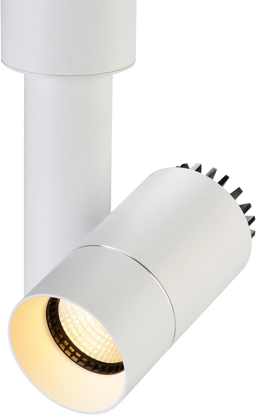 OBSESS 05033 LED Ceiling Spotlights /Surface Mounted DownLight with LED COB Light Source 2700K Warm White (37-degree beam angel Design/Artwork Spotlights, 6W, White Finish)