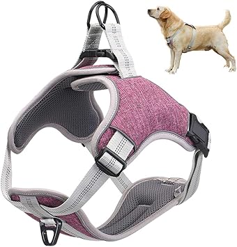 dog harness with gun holster