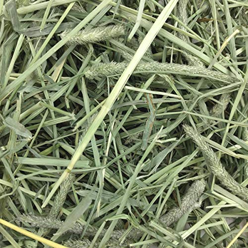 Oxbow Western Timothy Hay - Image 3