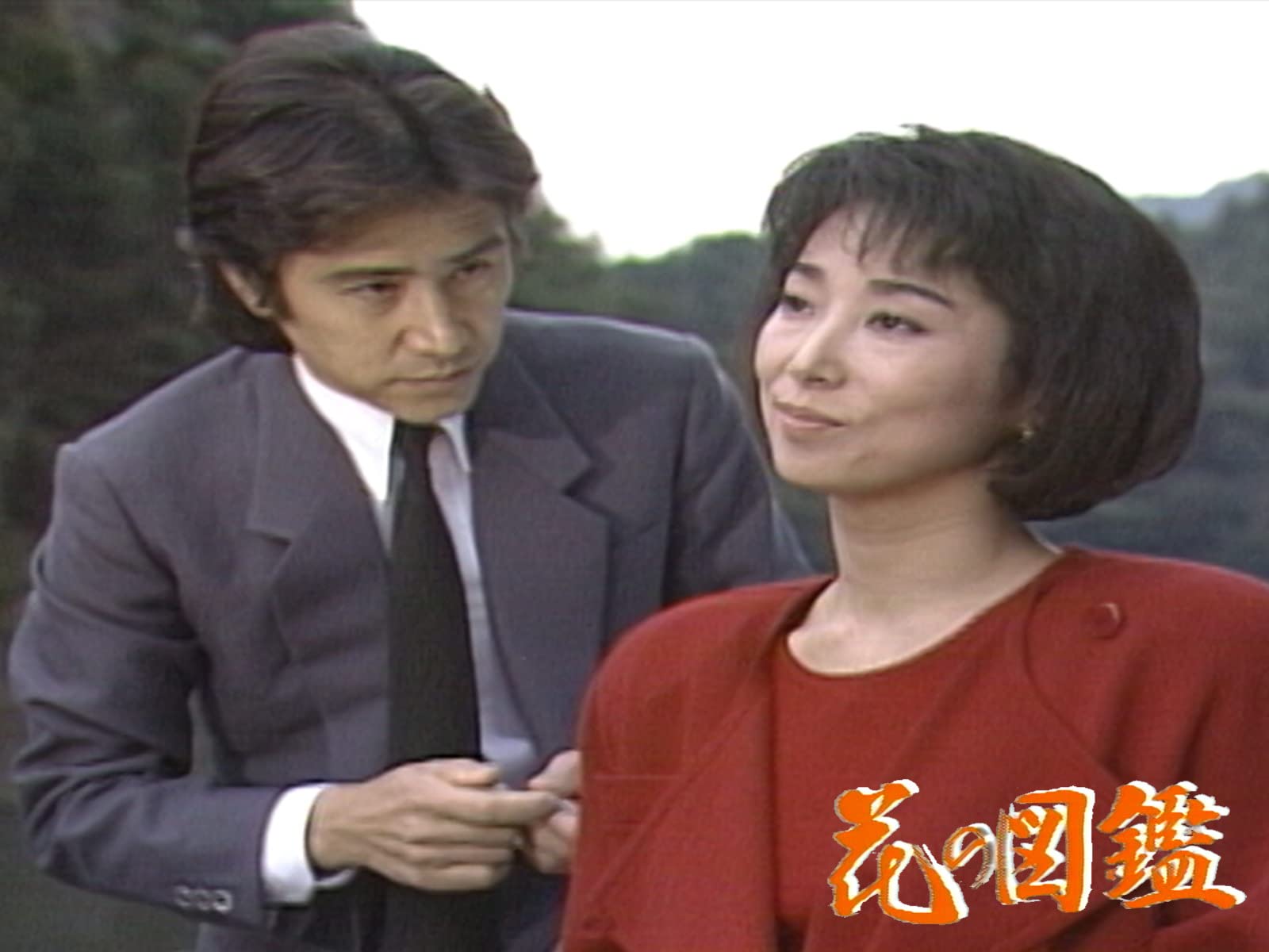 Amazon Co Jp 花の図鑑を観る Prime Video