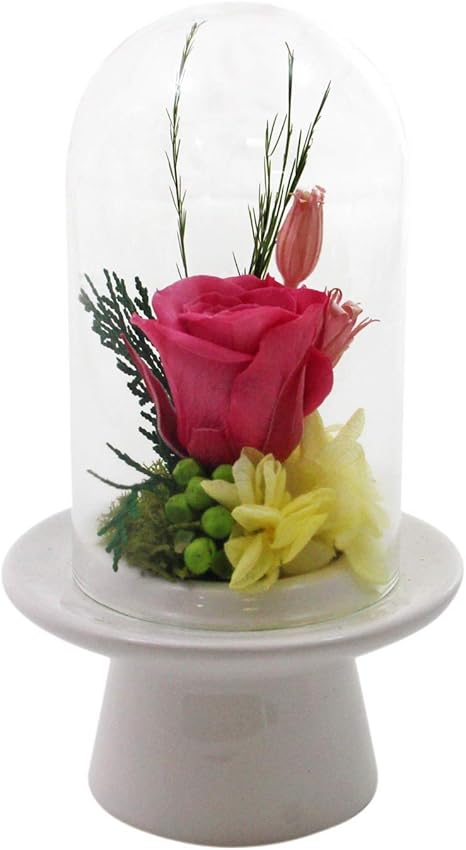 Amazon Co Jp お彼岸 お供え 仏花 プリザーブドフラワー 枯れない 生花 祈りドームs ホワイト ホーム キッチン