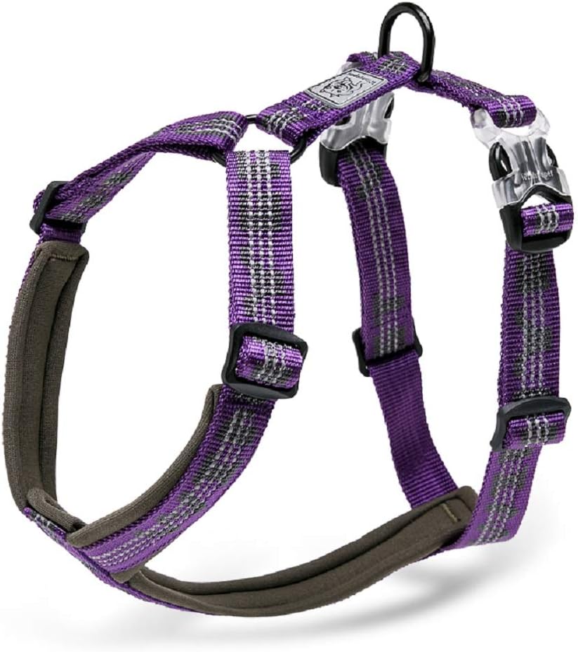 Which Is The Best Chai’s Choice 3M Reflective Dog Harness Small
