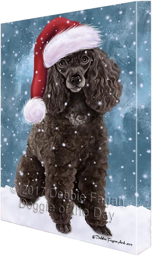 poodle snow