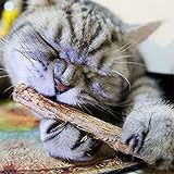 10pcs Cat Stick Chew Toy Dental Health Kitten Brush Teeth Pet Treat Toy Catnip Molar