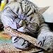 NUOMI 10pcs Cat Stick Chew Toy Dental Health Kitten Brush Teeth Pet Treat Catnip Toys Molar