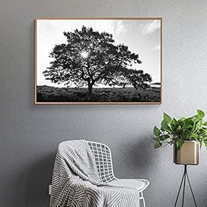 Floating Framed Canvas Wall Art for Living Room, Bedroom Black and White Tree Art Canvas Prints for Home Decoration Ready to Hang - 16x24 inches