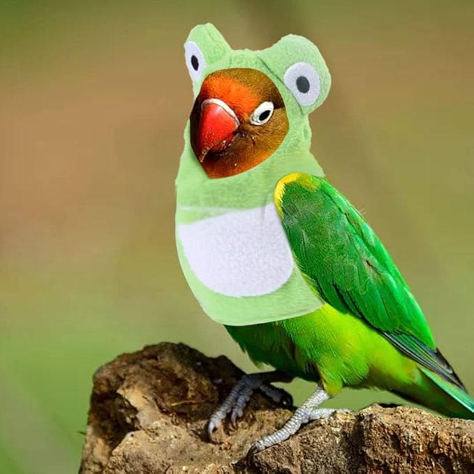 Amazon Co Jp 鳥のためのペットの服オウムインコオカメインコ かわいいカエルの形のパーカー面白い鳥のコスチュームショーやコスプレ 写真の小道具 クリスマス パーティー 誕生日 ハロウィーンの掃除と着用が簡単 ペット用品