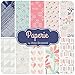 Paperie Fat Quarter Bundle (AS.PA.8FQ) by Amy Sinibaldi for Art Gallery