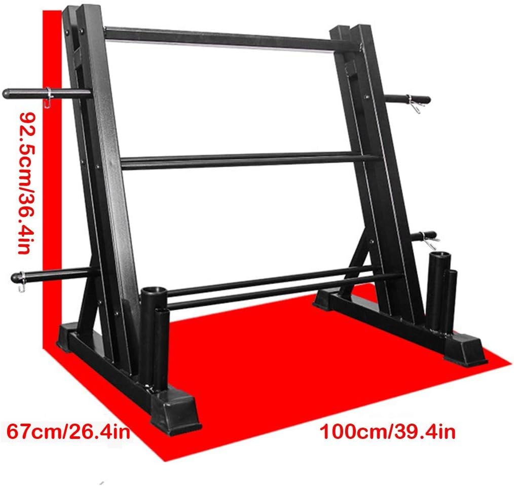 Delarsy Dumbbell Weight Rack Storage Stand Home Workout Gym Sports Strength Training Dumbbell Racks (Large) : Sports & Outdoors