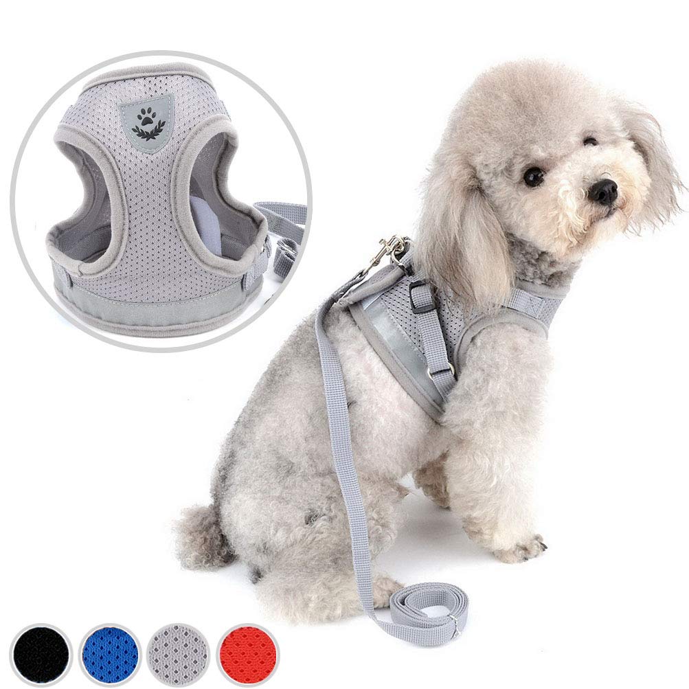 Zunea Dog Harness for Small Dog Cat, No Pull Step-in Soft Mesh Padded Vest Harness Leash Set with Reflective Stripe and Logo, Puppy Dog Lead for Daily Walking Running Training - (Gray, XL)