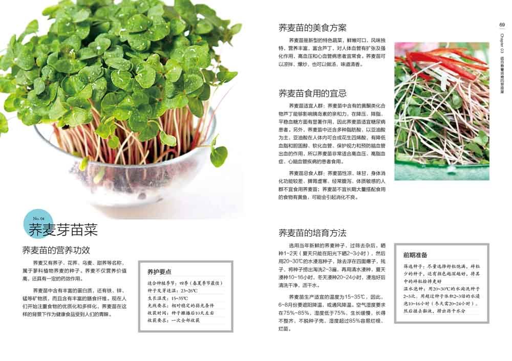 好吃又好玩的芽苗菜 赵道强 Amazon Com Books