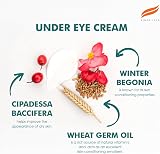 Himalaya Herbal Under Eye Cream for Dark Circles Wrinkles 15ml All Skin Types view 5
