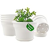 Pottiffe 6 Inch Plastic-Flower Pot-for-Indoor Plants, 6 Pack Outdoor Plant Pots with Drainage Holes & Saucers, Resin Garden P