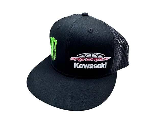Producto: Kawasaki Team Pro Circuit Monster