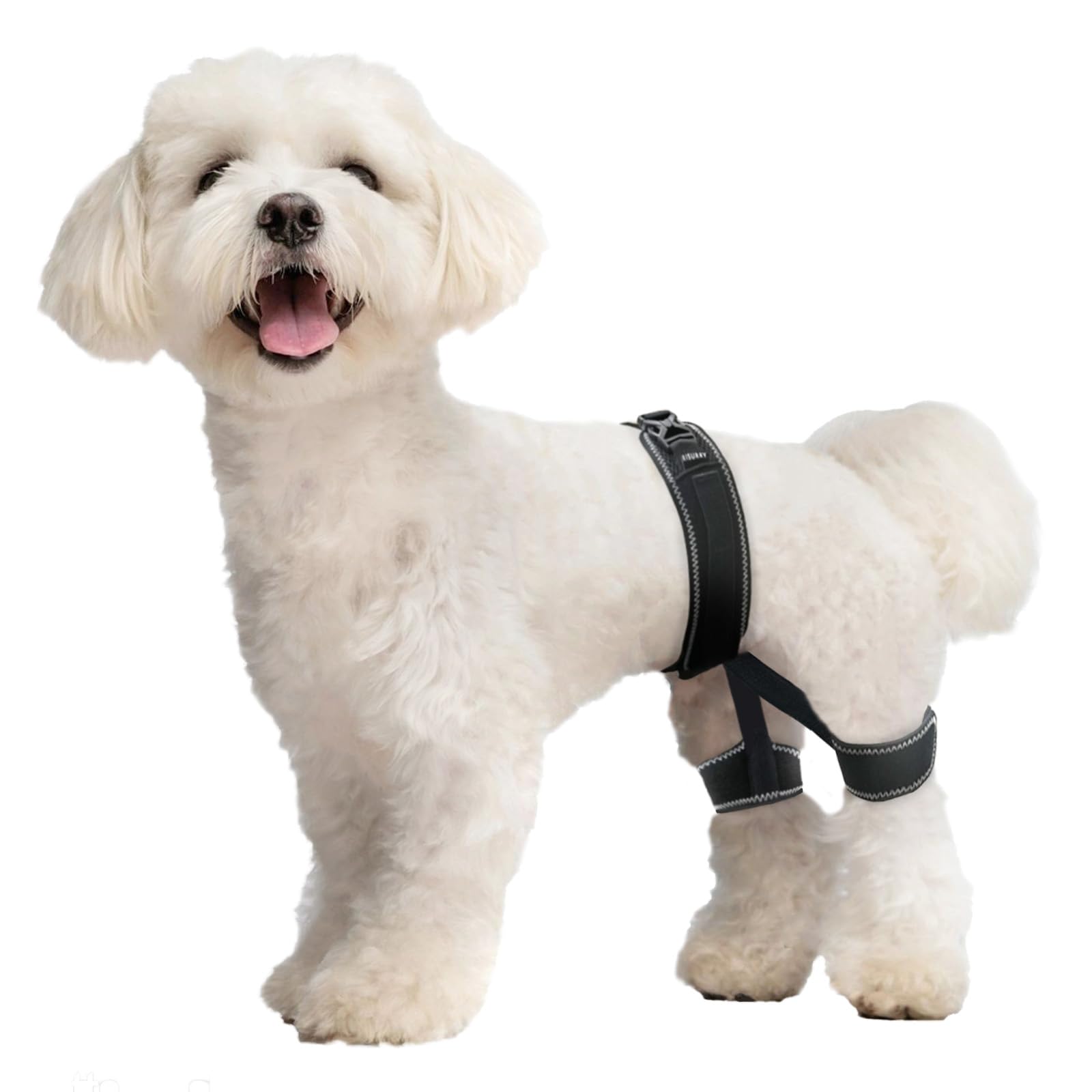 Photo 1 of CHAMIN Dog Hip Orthotics Brace, Dog Hip Dysplasia Brace Harness, Support for Hip Dysplasia, Luxating Patella, Relieve Hip Pain, Prevent Hip Joint Diseases and Assisted orthopedics, et(Small)