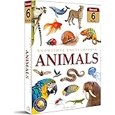Animals: Collection of 6 Books: Knowledge Encyclopedia For Children (Box Set)