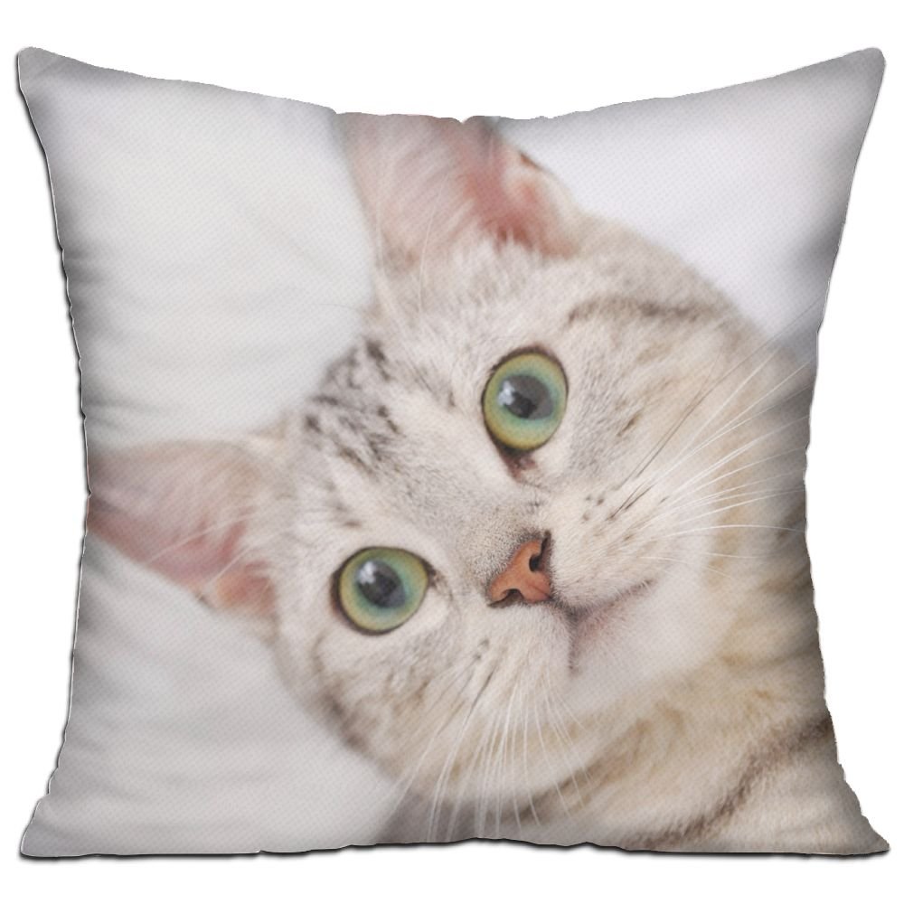 Amazon Com America Short Hair Cat 100 Cotton Throw Pillow 18 X