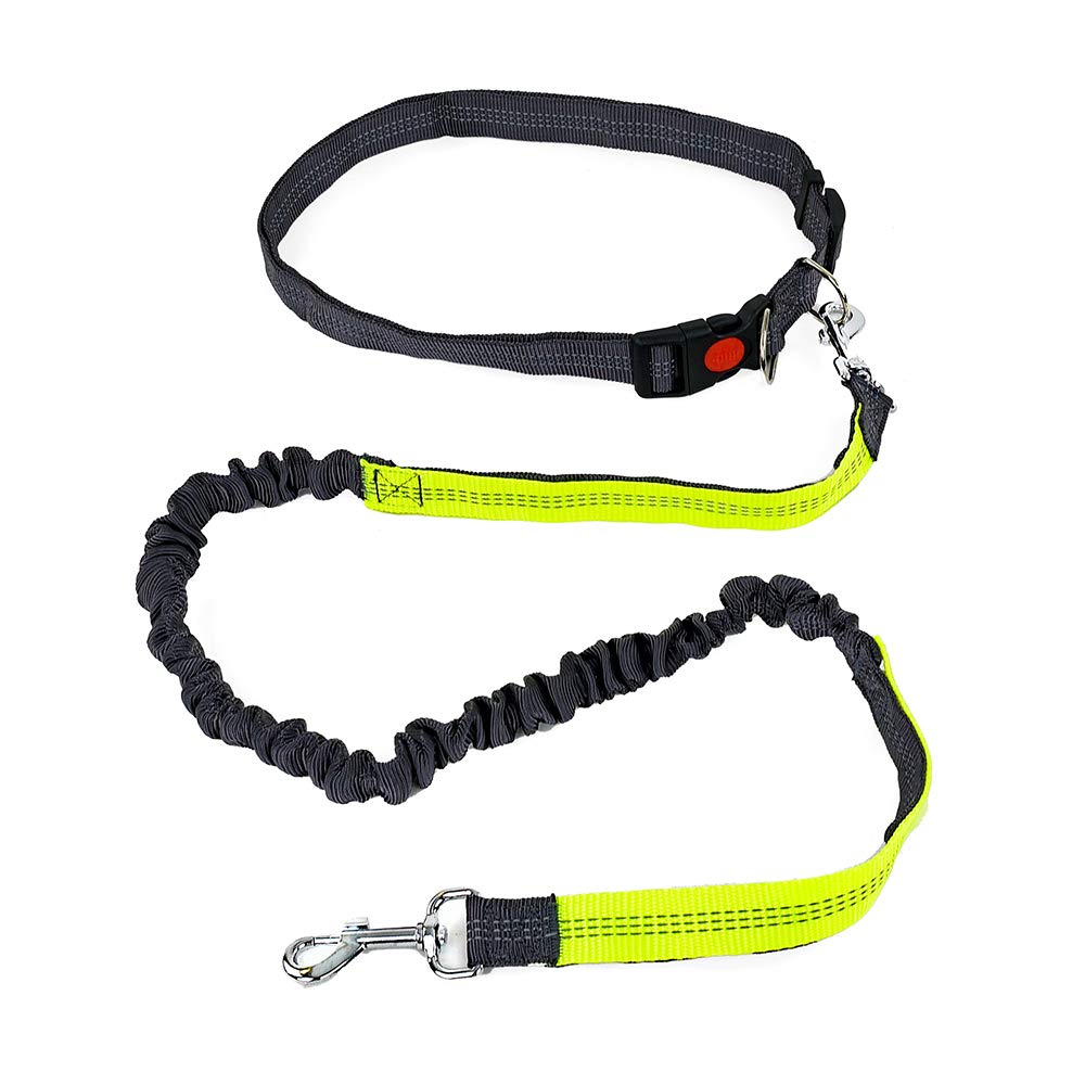Pullach yard waist belt jogging leash dog dog lead running jogging training hiking lead outdoor on the go