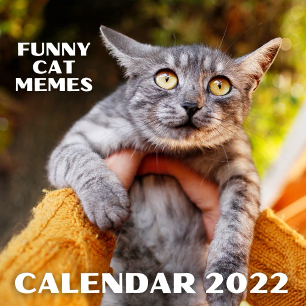 Funny Cat Memes Calendar 2022 Mini Monthly Planner With Funny Quotes Publishing Nature Wisdom 9798761775435 Books Amazon Ca